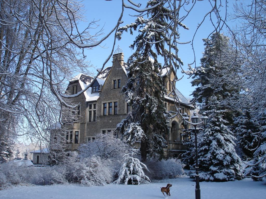 Schlosshotel Stecklenberg Thale Exteriör bild