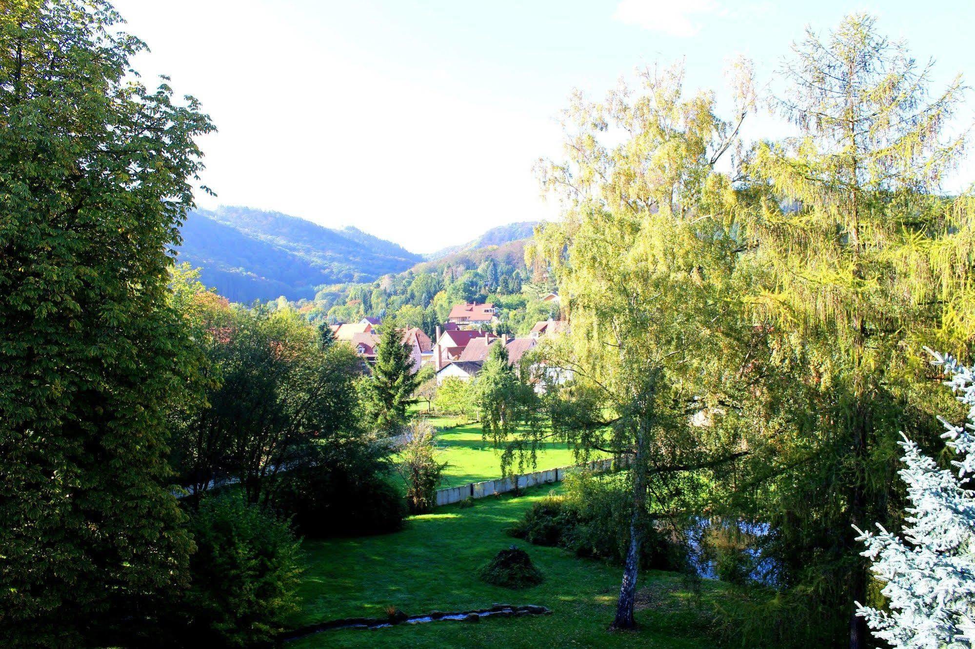 Schlosshotel Stecklenberg Thale Exteriör bild